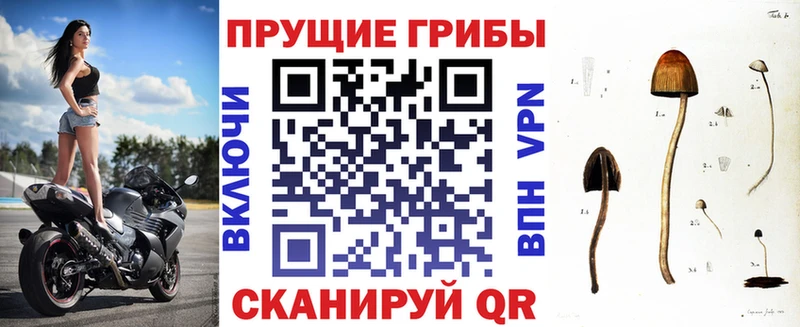 Галлюциногенные грибы ЛСД  где продают наркотики  Сим 